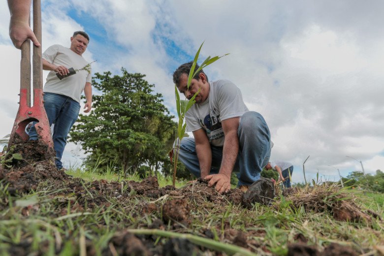 Prefeitura de Porto Velho e parceiros convidam população para plantio de novas mudas no Skate Parque