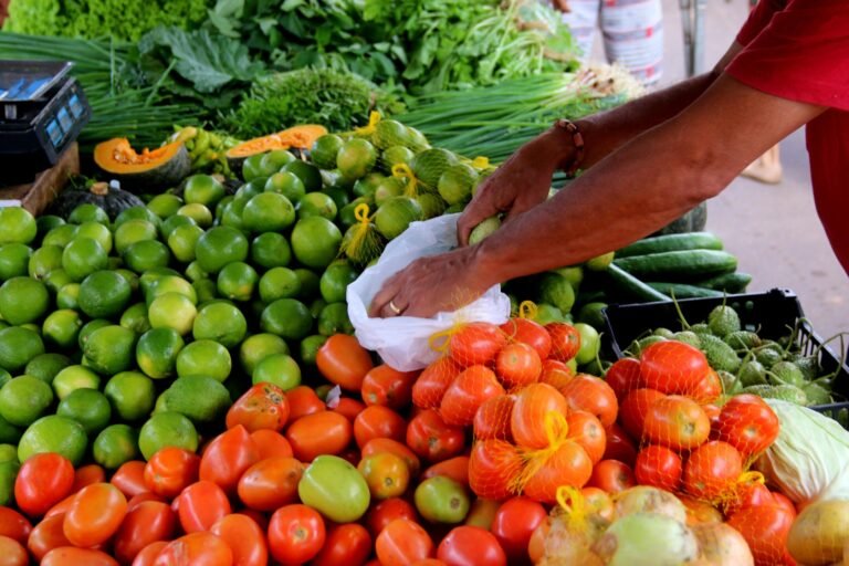 Programa de Aquisição de Alimentos impulsiona a agroindústria e fortalece setor agrícola