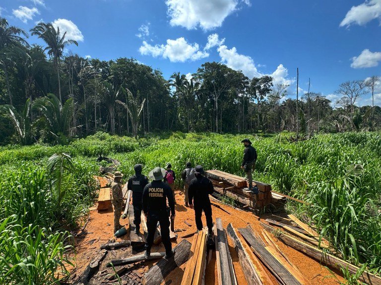 PF deflagra operação em combate a crimes ambientais em Rondônia