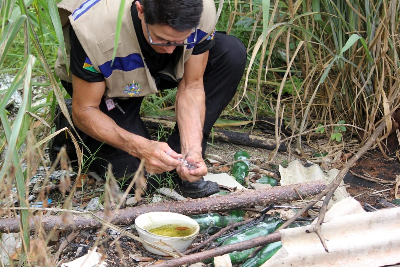 Rondônia realiza neste sábado ação de combate à dengue
