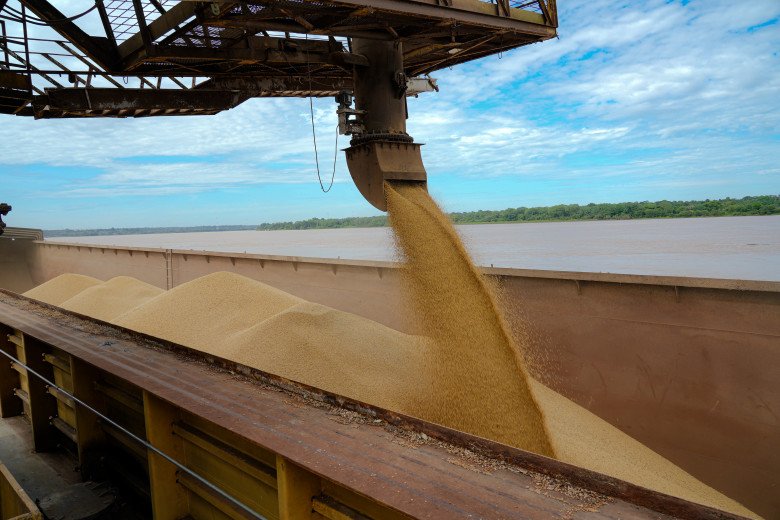 Porto Velho lidera a produção de soja em Rondônia e se consolida como nova fronteira agrícola
