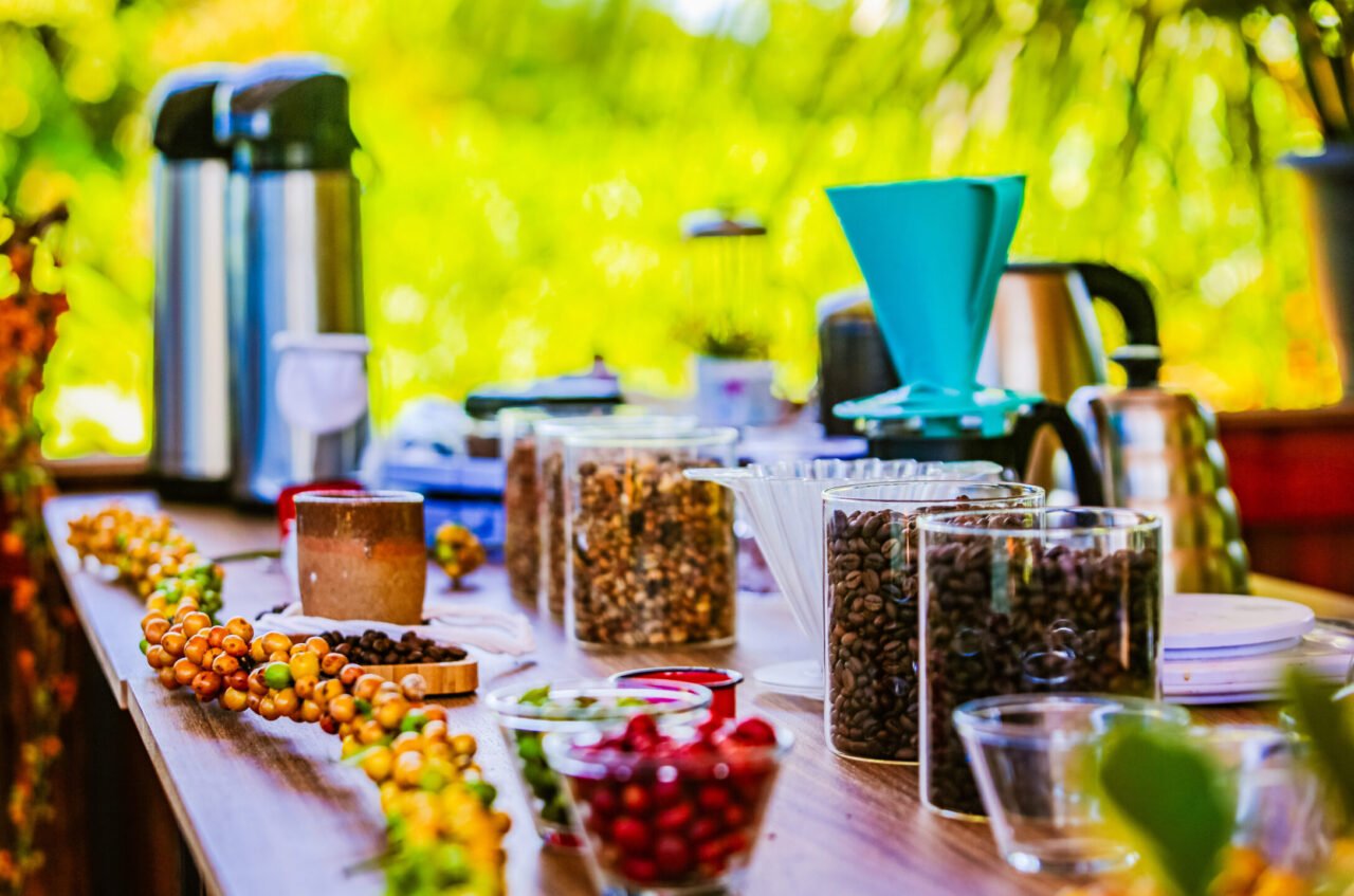 Café está presente do plantio à degustação na 11ª Rondônia Rural Show Internacional