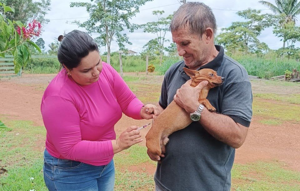 Mais de mil animais foram imunizados contra a raiva em mutirão de vacinação na zona rural de Porto Velho