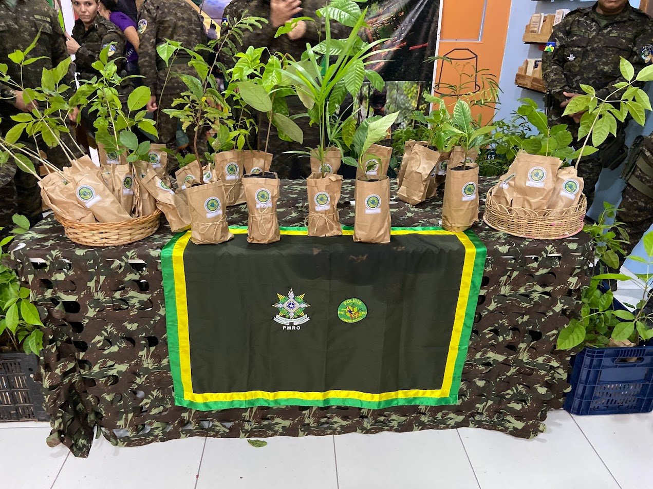 Distribuição de mudas e ações de educação ambiental movimentam Semana do Meio Ambiente