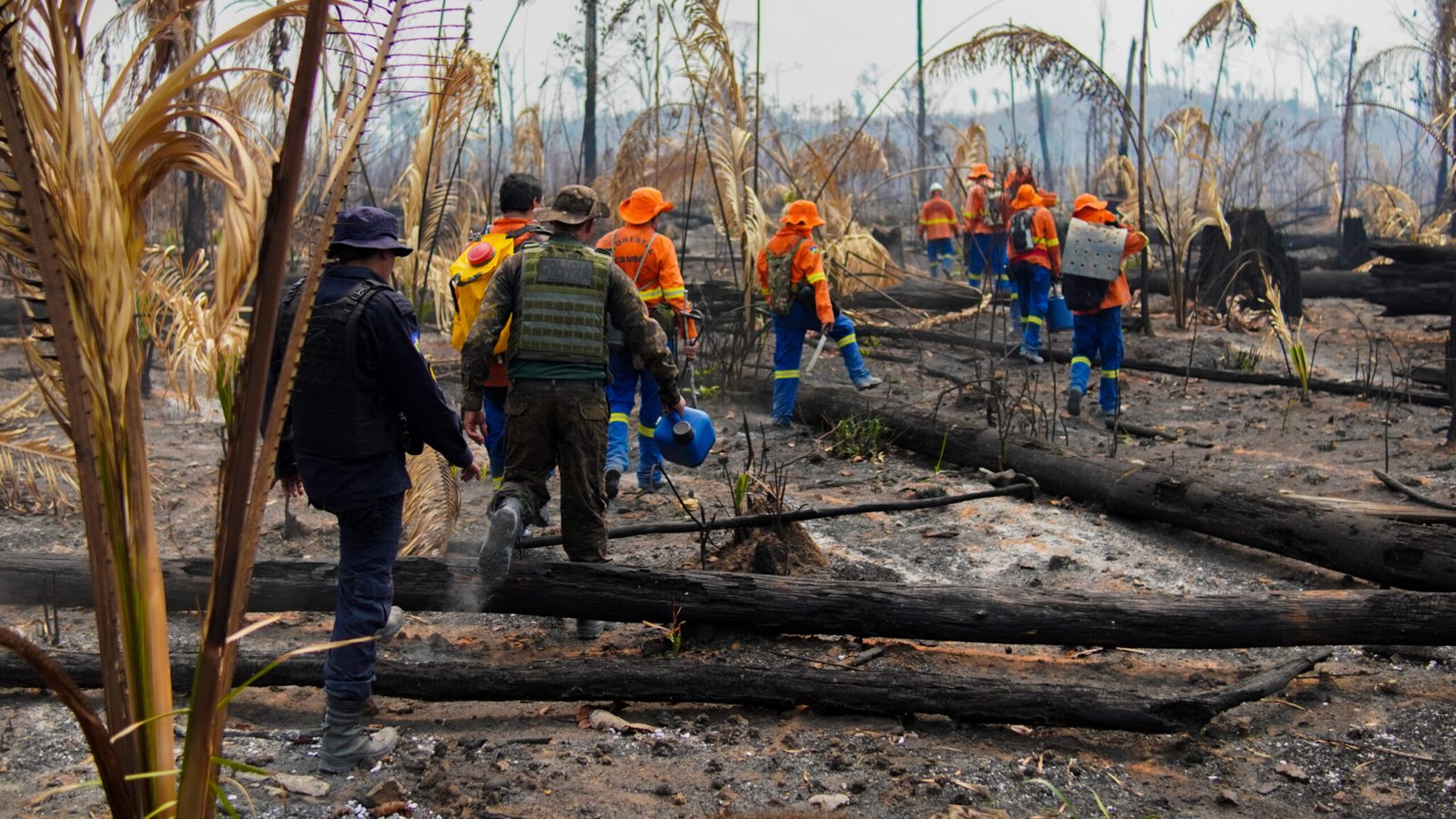 Equipes buscam alternativas de acesso aos locais de combate a focos de calor no Parque Guajará-Mirim