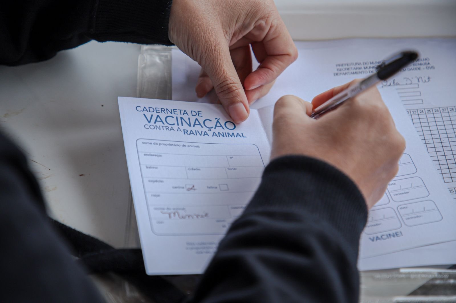 Dia D de Vacinação antirrábica para cães e gatos acontece em 100 pontos de Porto Velho