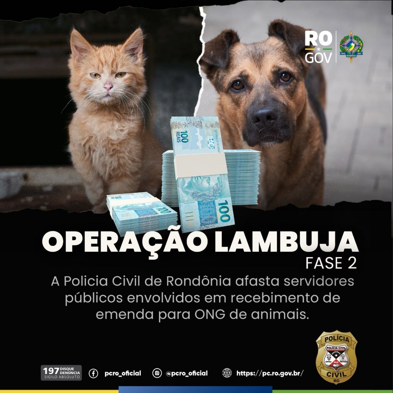 Vereadora de Porto Velho é afastada por suspeita de irregularidades no uso de verbas direcionadas a animais abandonados