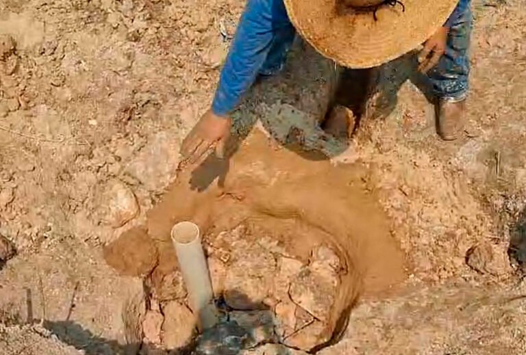 Crise Hídrica: produtores rurais são orientados pela Emater à preservação e restauração de nascentes