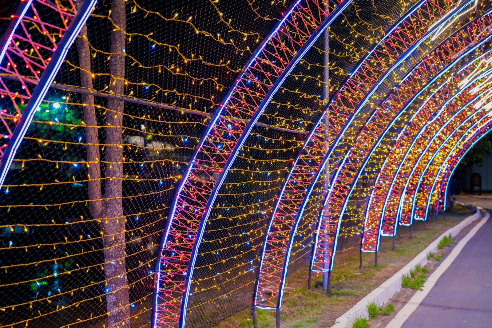 Magia e encanto para toda a família a partir deste domingo, 10