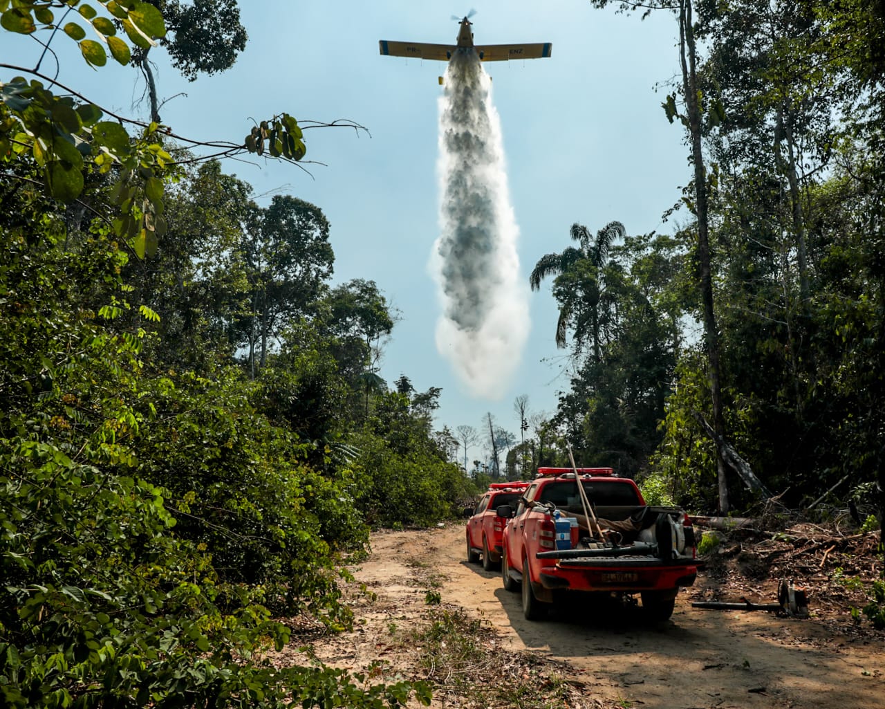 Rondônia alcança menor taxa de desmatamento na Amazônia