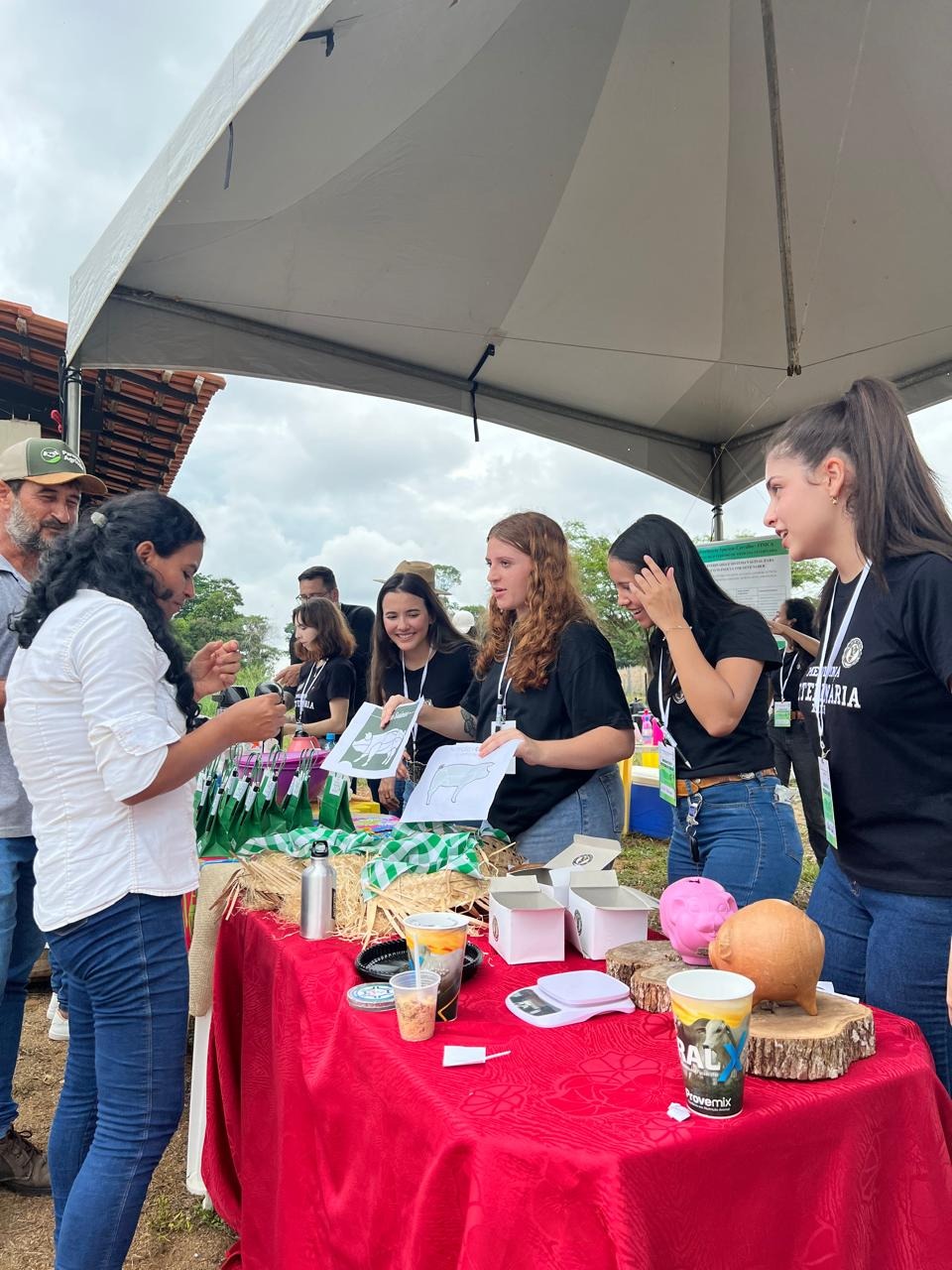 Agronegócio sustentável e educação prática são os temas do XVI Dia de Campo da Fimca