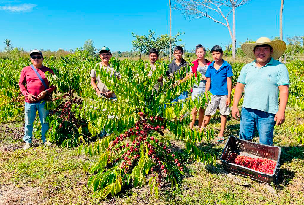 Governo publica Edital de Chamada Pública para Programa de Aquisição de Alimentos Indígena