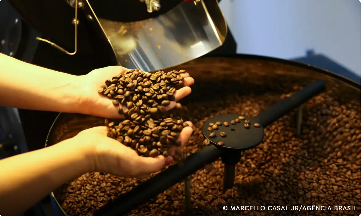 Brasil exporta 46 milhões de sacas de café, atingindo recorde em 2024