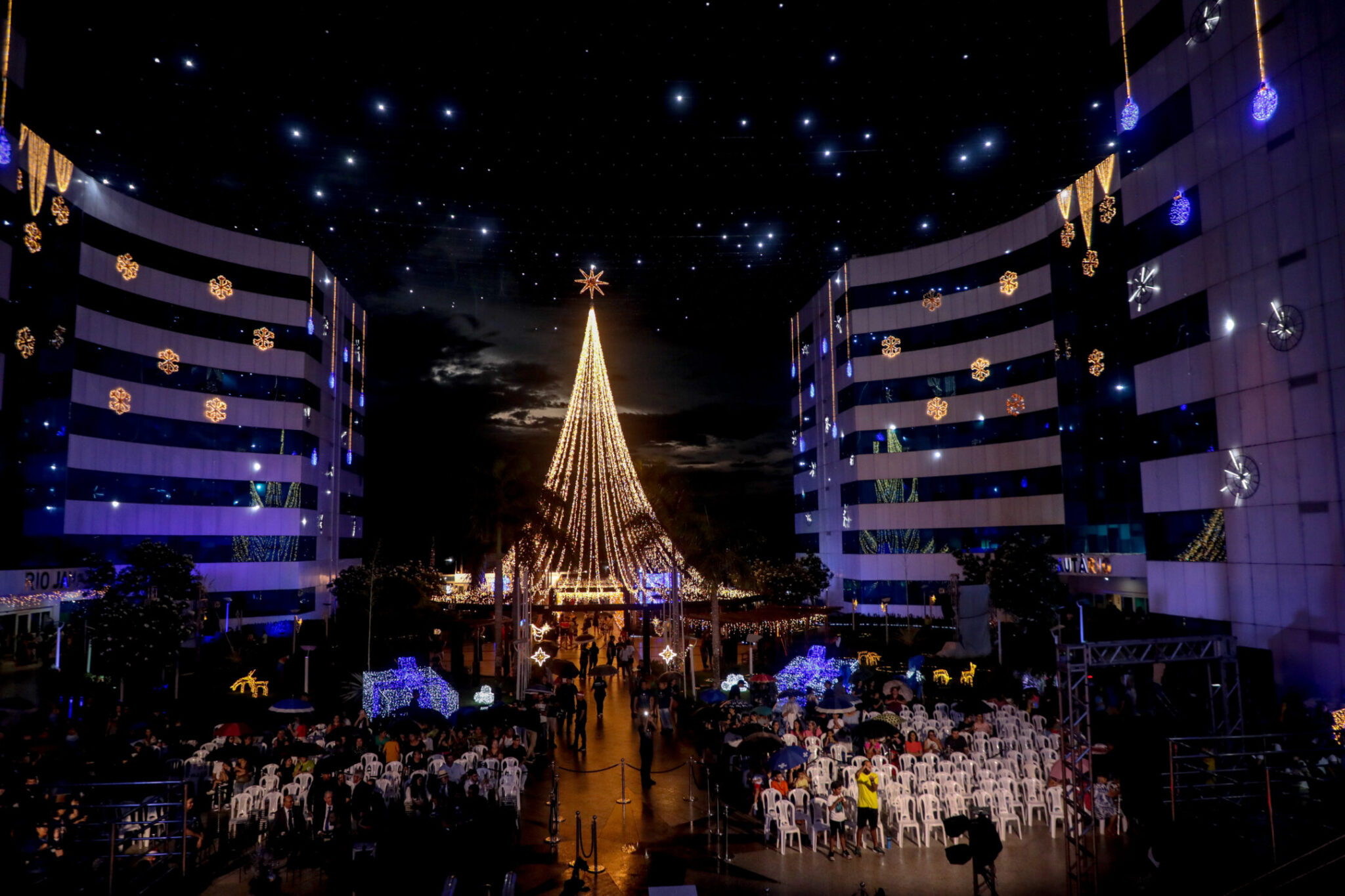 Céu estrelado, túnel iluminado, árvore de 25 metros: famílias se reúnem para celebrar Natal de Luz