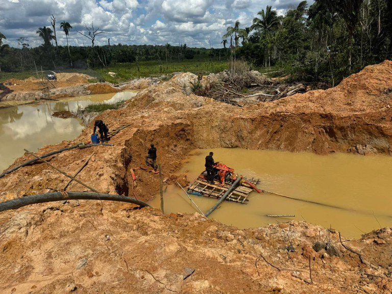 PF deflagra a Operação Andyrá em combate a crimes ambientais em Rondônia