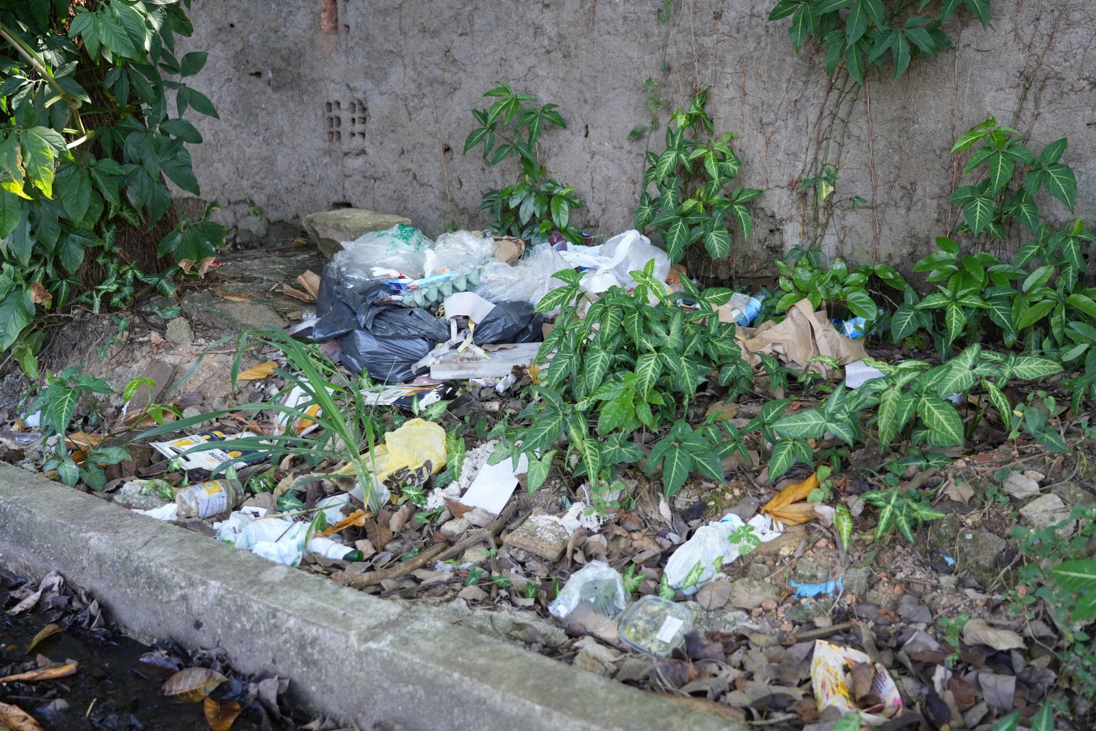 Prefeitura já notificou mais de 500 donos de terrenos abandonados em 2025