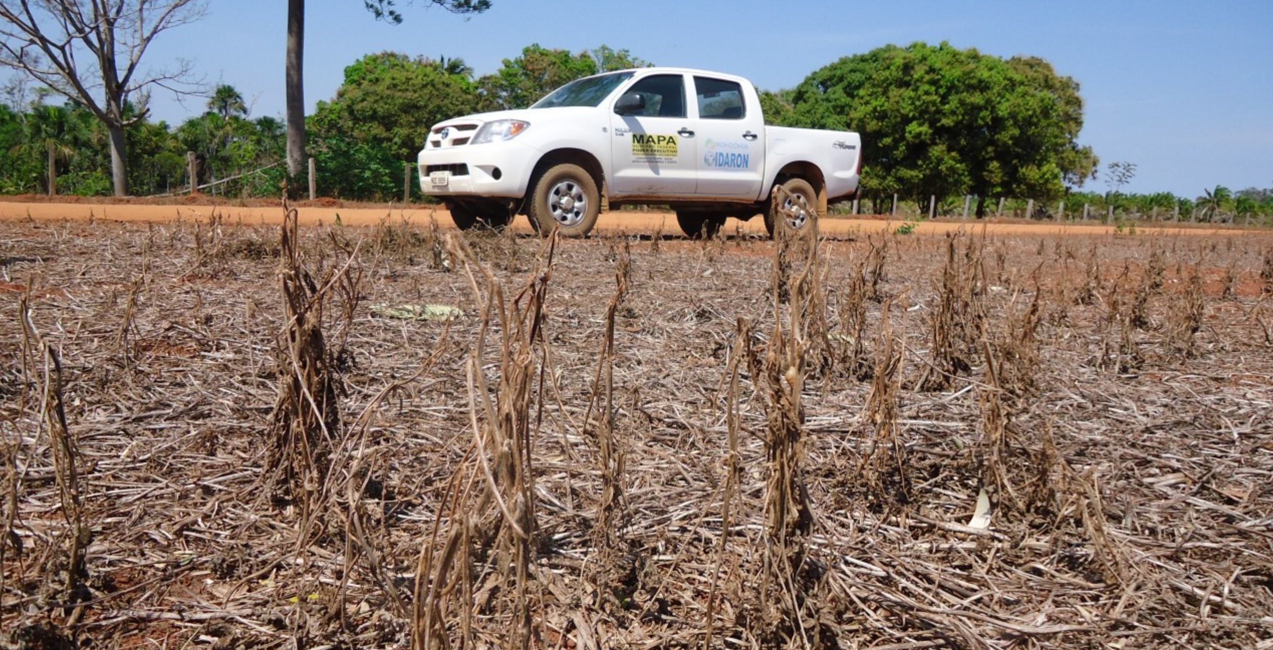 Governo do estado informa sobre o início do vazio sanitário da soja em Rondônia