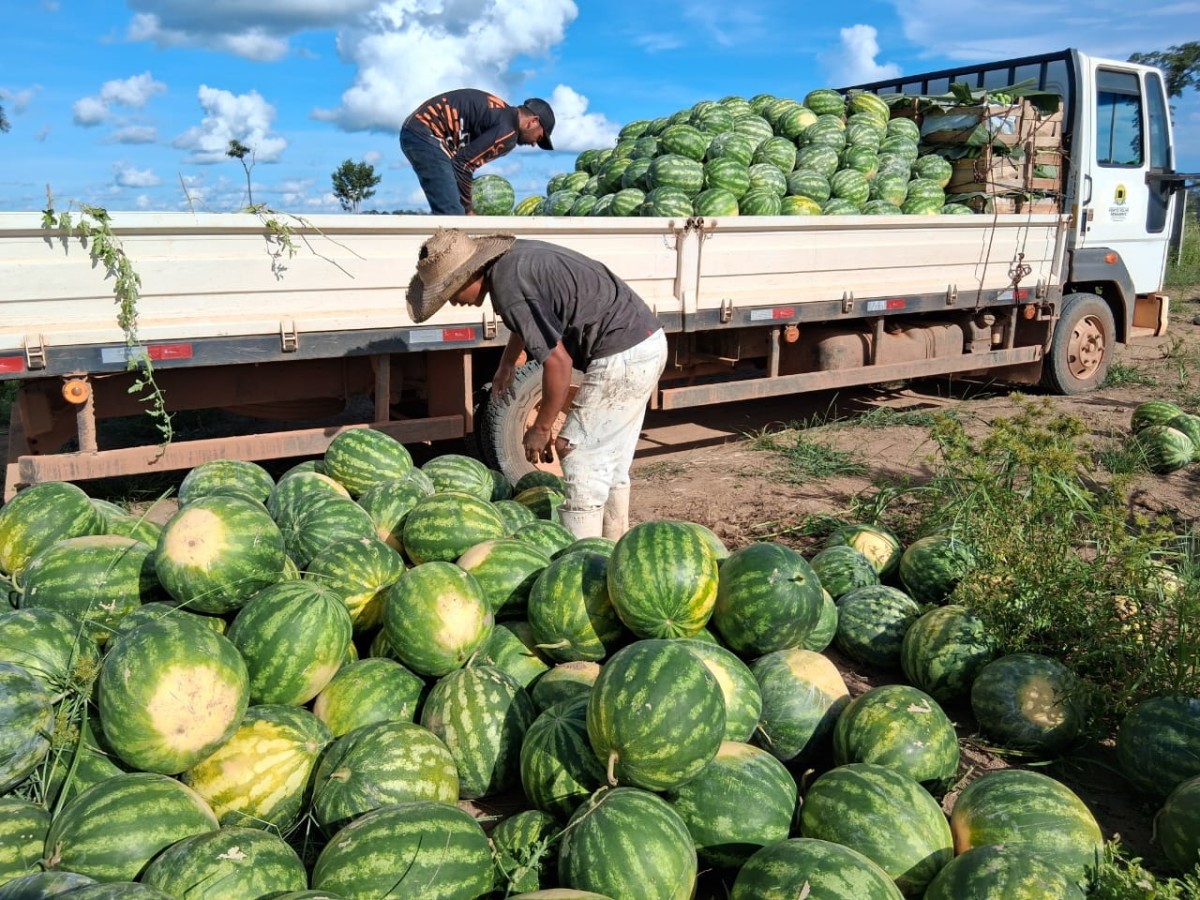 Mais de 136 toneladas de alimentos são transportados pela Prefeitura em apoio aos produtores rurais de Porto Velho