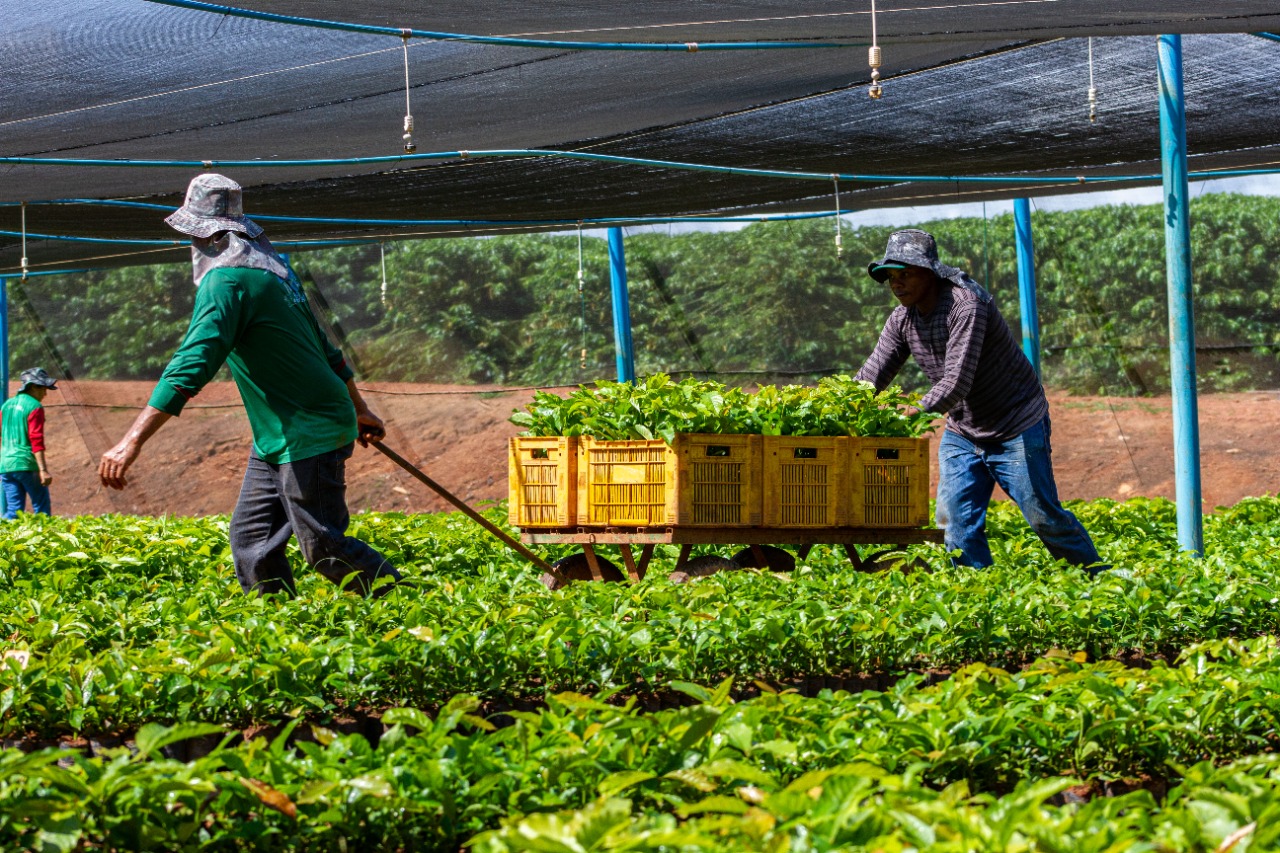 Investimentos na agricultura familiar fortalece desenvolvimento no campo