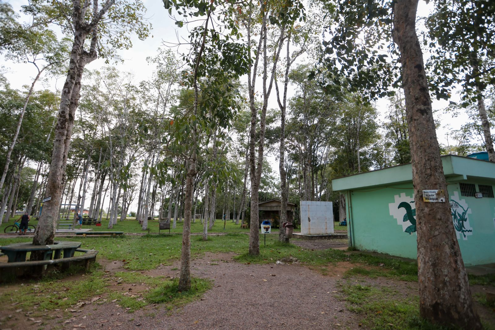 Porto Velho reforça combate a infrações ambientais e alerta sobre penalidades previstas em lei