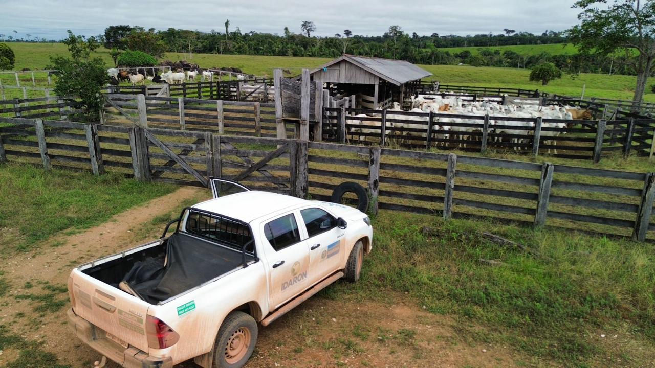 Ações para prevenir casos de raiva animal são intensificadas em Nova Mamoré