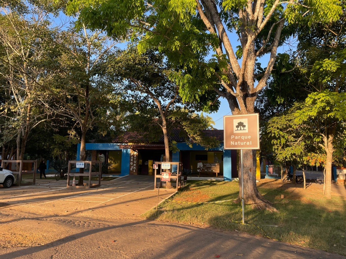 Após dois anos, macacos retornam ao Parque Natural como sinal de vida da floresta