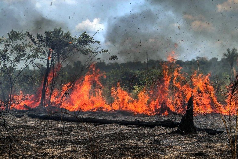 Porto Velho mantém equipes em regime de plantão contínuo para combater ação dos infratores