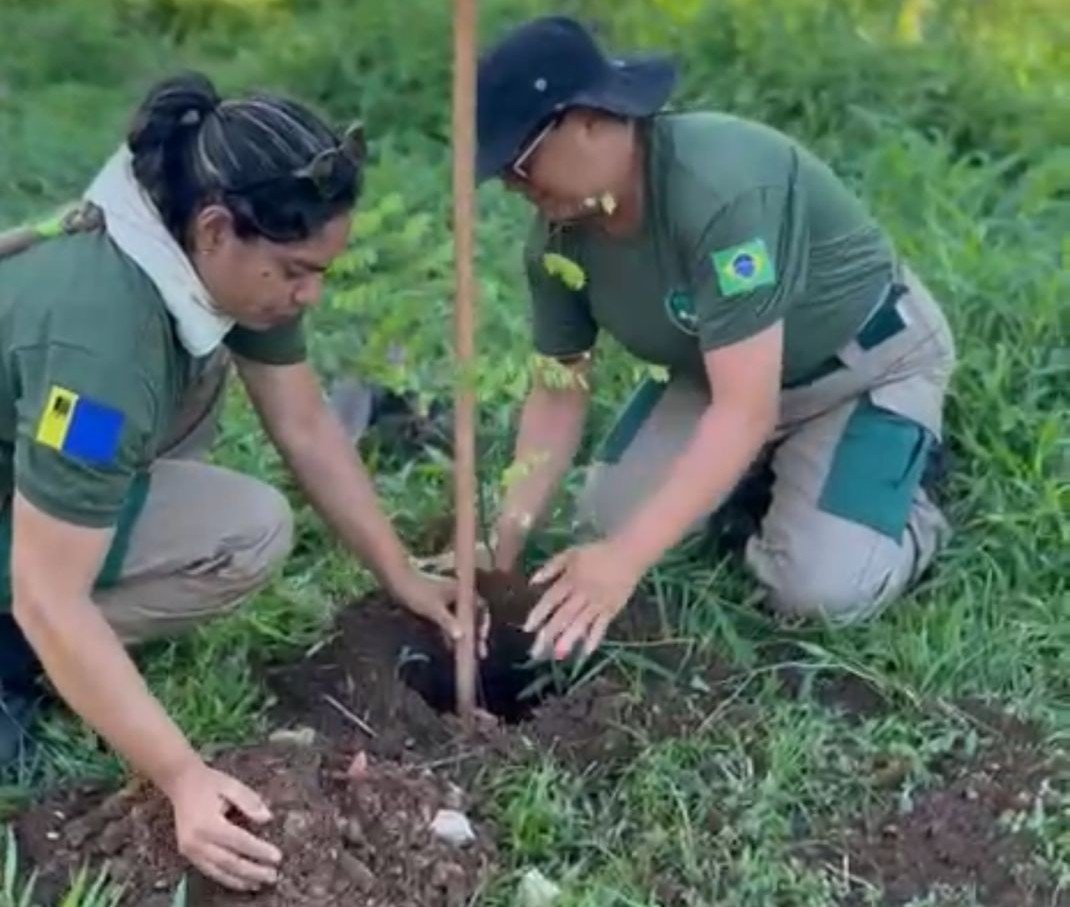 Prefeitura atua na recuperação de área de proteção ambiental e manutenção de espaço público