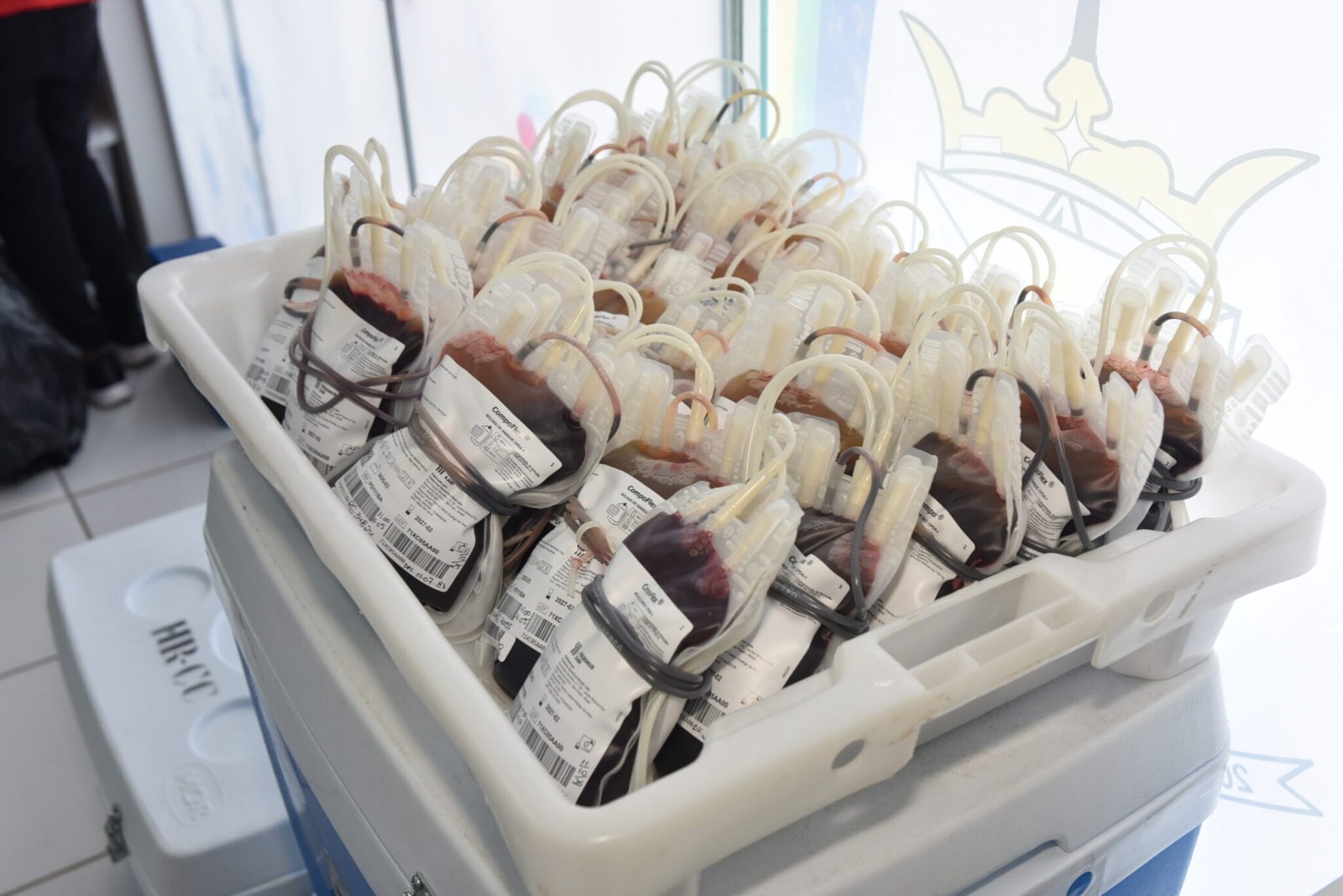 Alta Floresta d’Oeste e Porto Velho registram mais de 240 bolsas de sangue coletadas em ações da Fhemeron