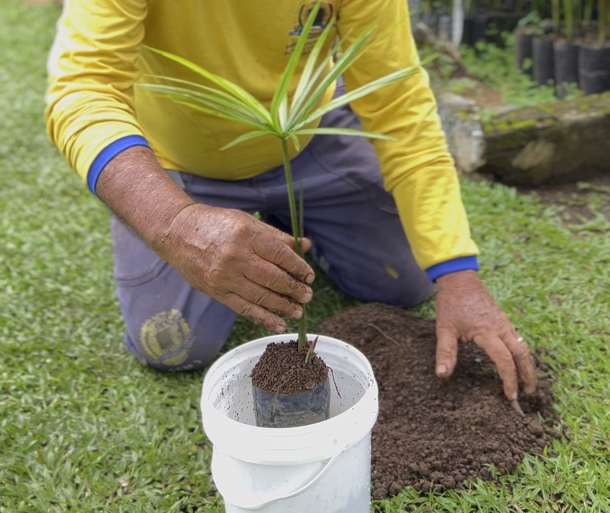 Parceria entre Prefeitura de Porto Velho e empresa privada garante descarte correto de baldes de sorvete
