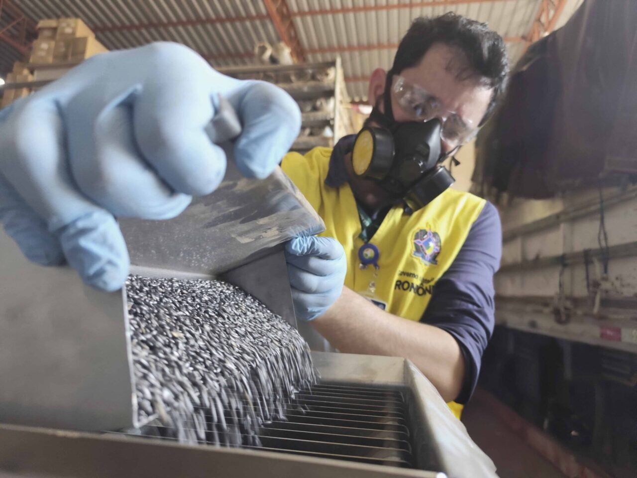Fiscalização para combater fraudes na comercialização de sementes é intensificada em Rondônia