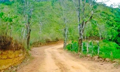 MPF recomenda que Incra construa estrada no assentamento Massangana, em Monte Negro, RO